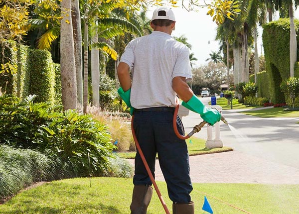 About Wrightsville PA Pest Control Pros